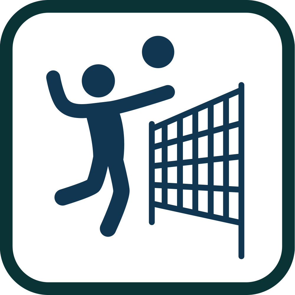 volley